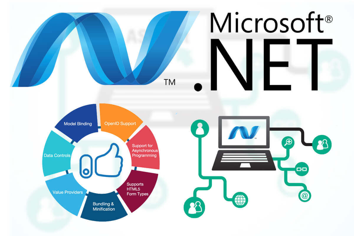 Asp Dot Net Developer